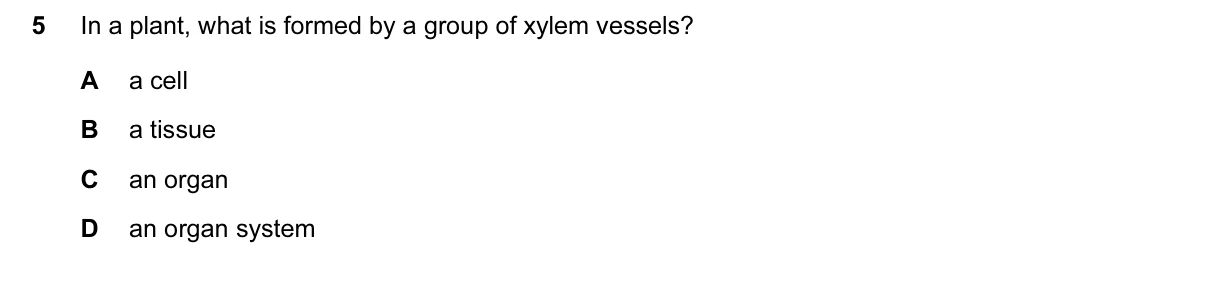 Question 5, June 2016, 0610 Paper 13