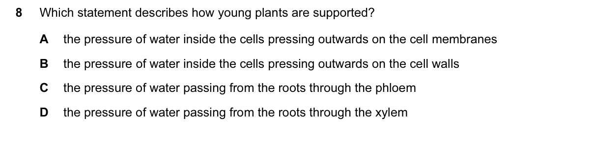 Question 8, June 2016, 0610 Paper 13