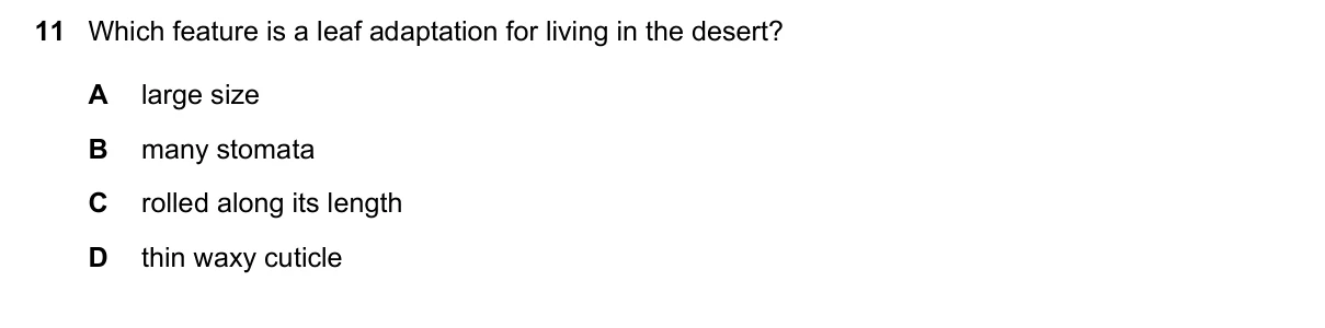 Question 11, June 2016, 0610 Paper 23
