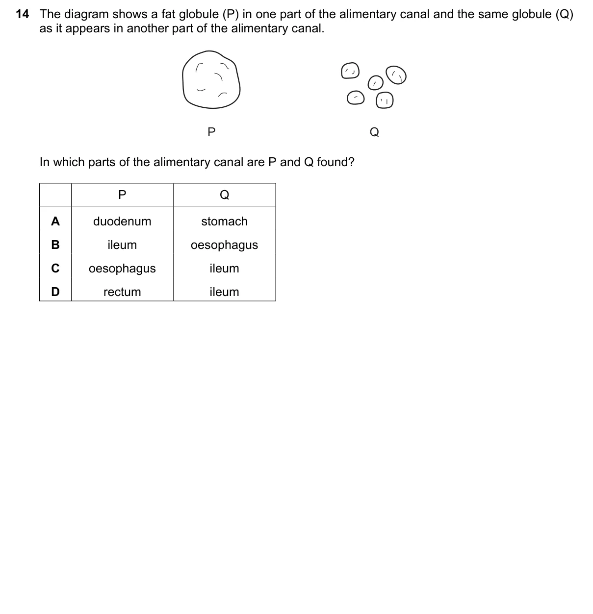 Question 14, June 2016, 0610 Paper 23