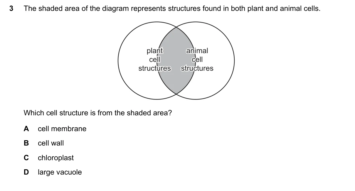 Question 3, June 2016, 0610 Paper 23