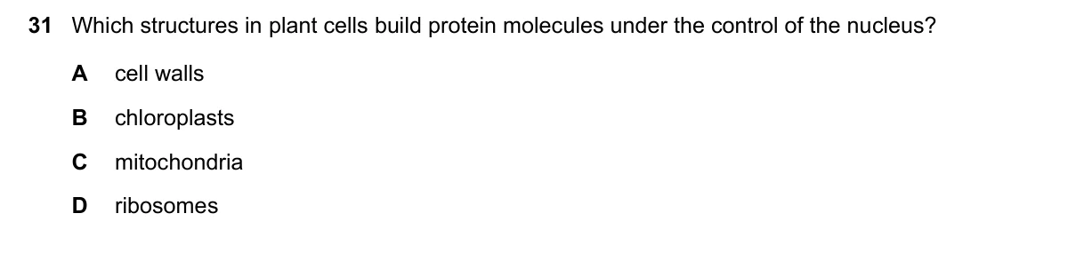 Question 31, June 2016, 0610 Paper 23