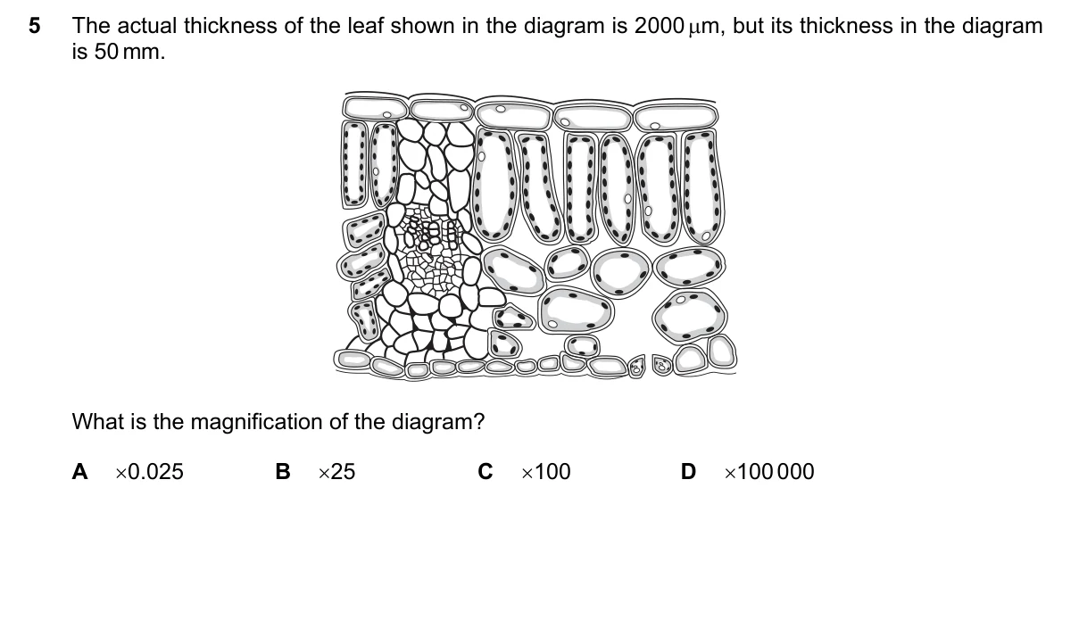 Question 5, June 2016, 0610 Paper 23