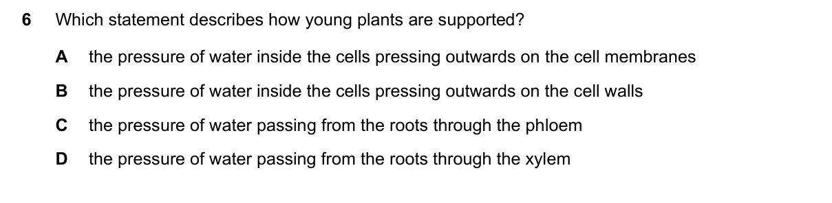 Question 6, June 2016, 0610 Paper 23