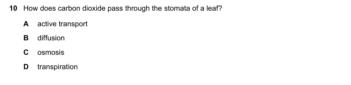 Question 10, November 2016, 0610 Paper 11