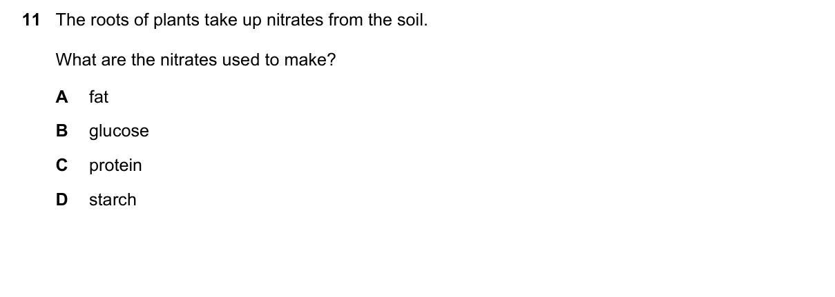 Question 11, November 2016, 0610 Paper 11