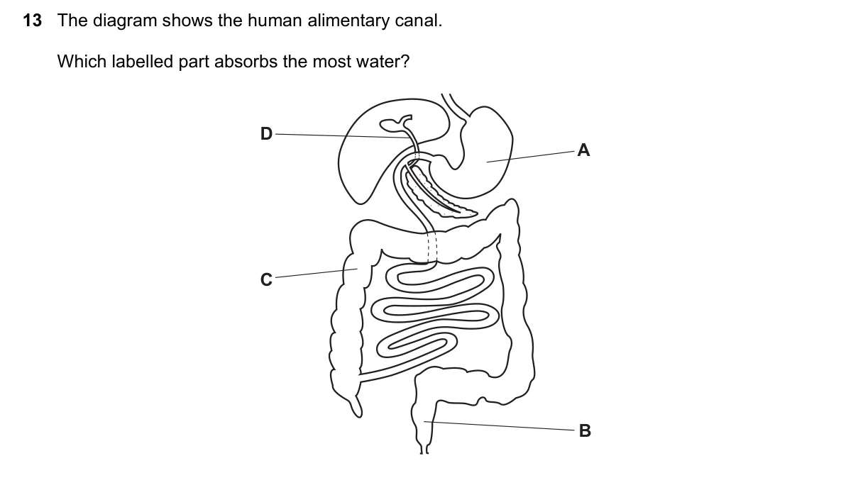 Question 13, November 2016, 0610 Paper 11