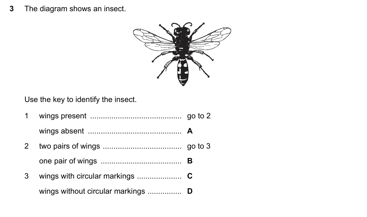 Question 3, November 2016, 0610 Paper 11