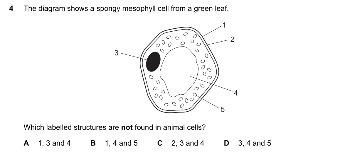 Question 4, November 2016, 0610 Paper 11