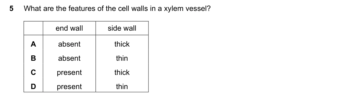 Question 5, November 2016, 0610 Paper 11