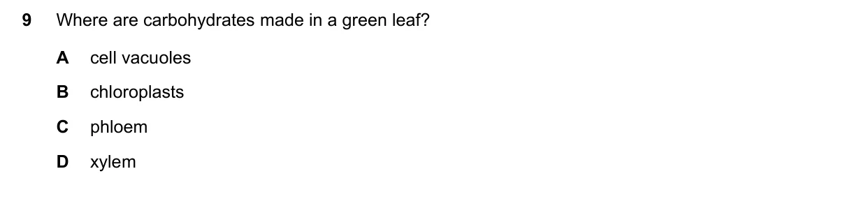 Question 9, November 2016, 0610 Paper 11