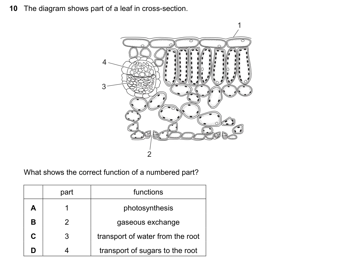 Question 10, November 2016, 0610 Paper 21