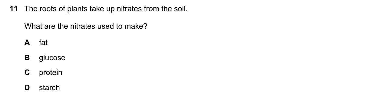 Question 11, November 2016, 0610 Paper 21