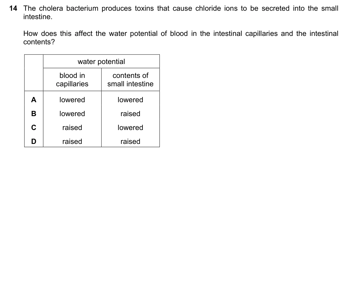 Question 14, November 2016, 0610 Paper 21