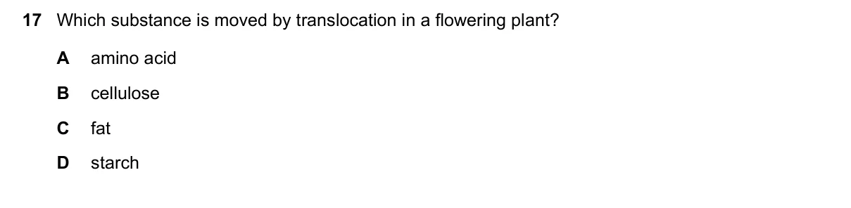 Question 17, November 2016, 0610 Paper 21