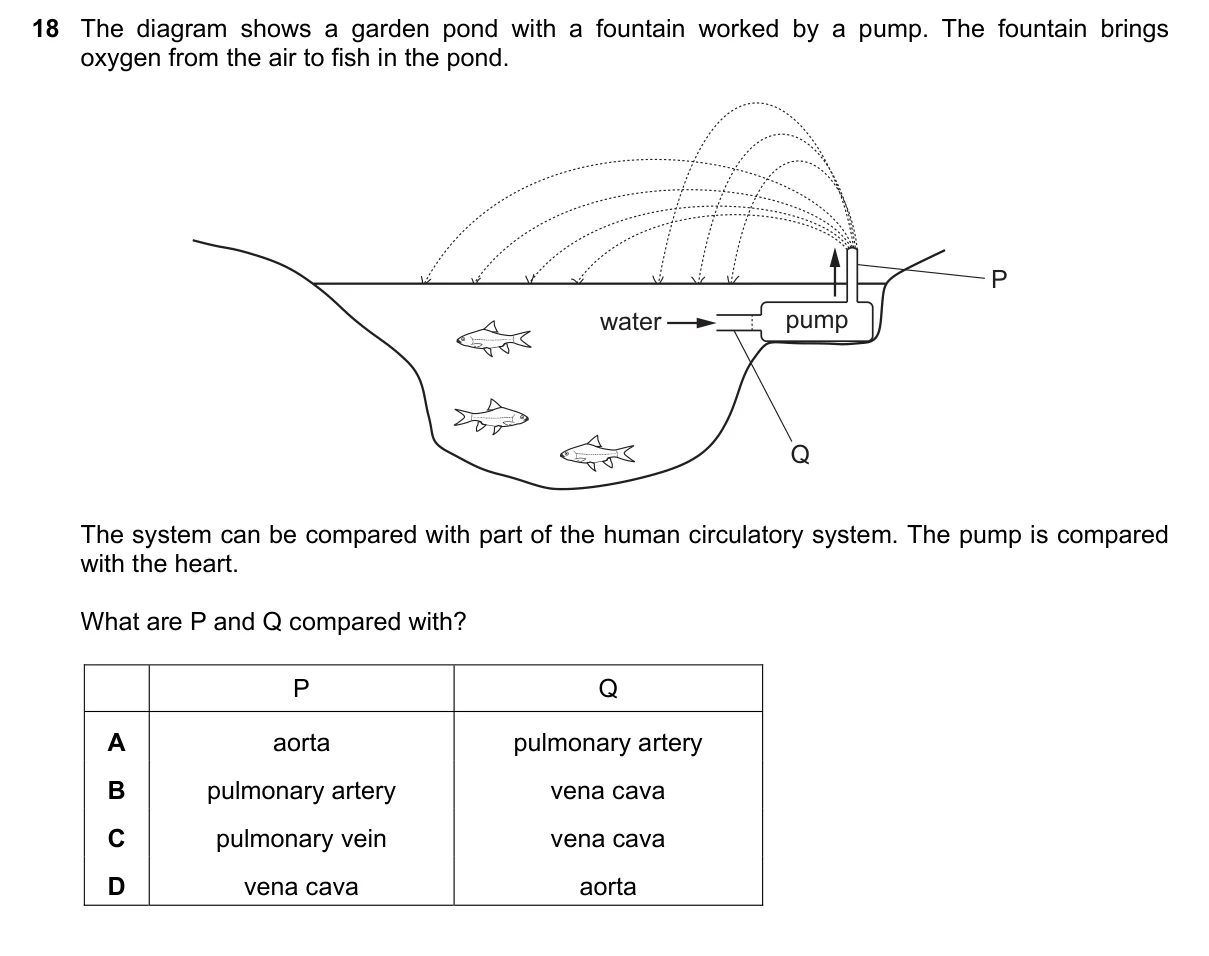 Question 18, November 2016, 0610 Paper 21