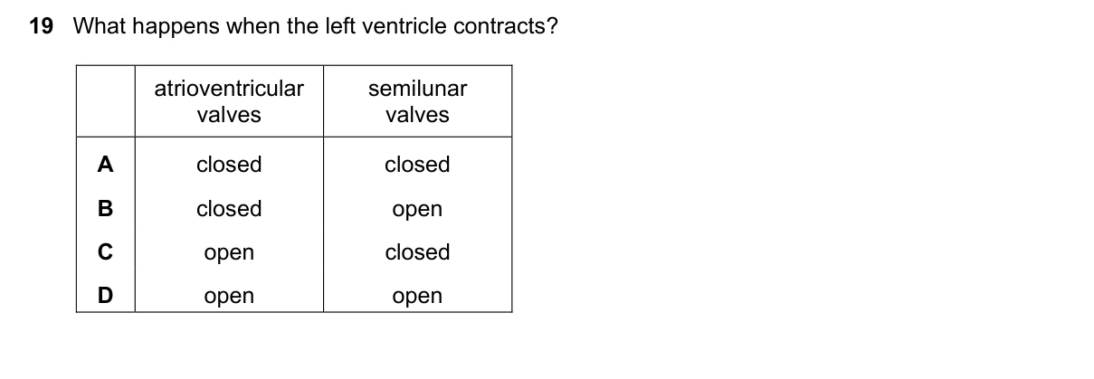Question 19, November 2016, 0610 Paper 21