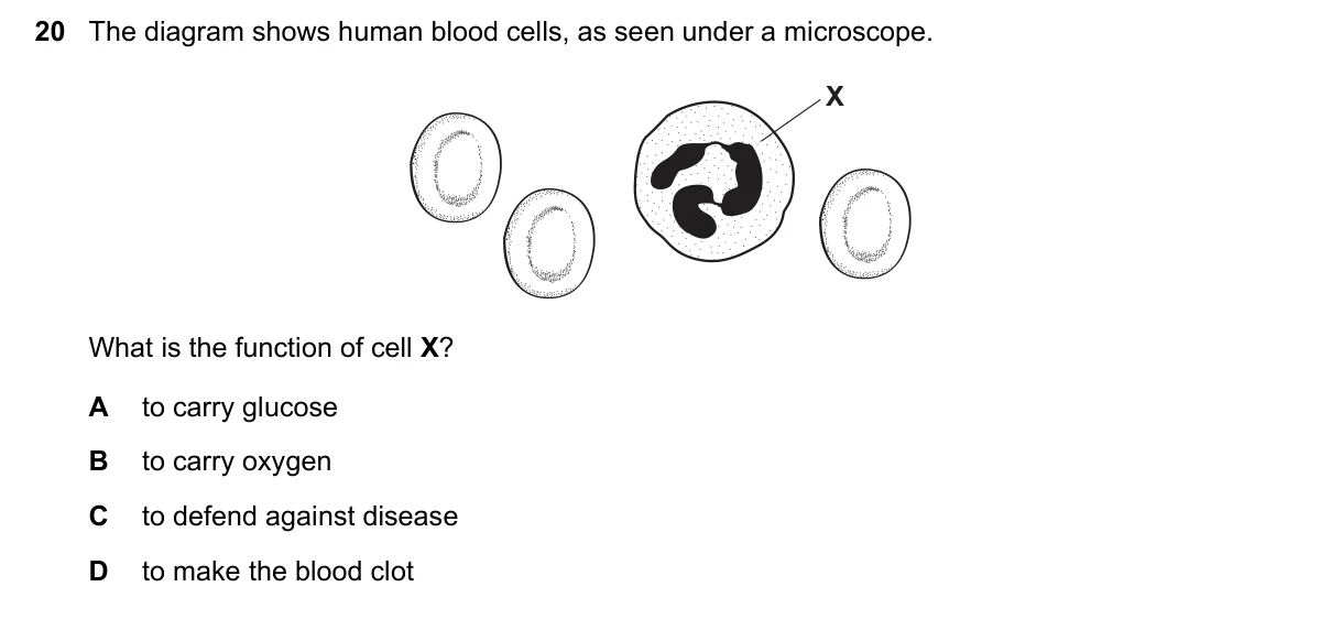 Question 20, November 2016, 0610 Paper 21