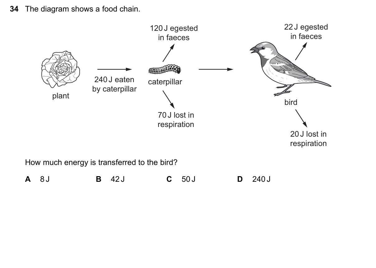 Question 34, November 2016, 0610 Paper 21