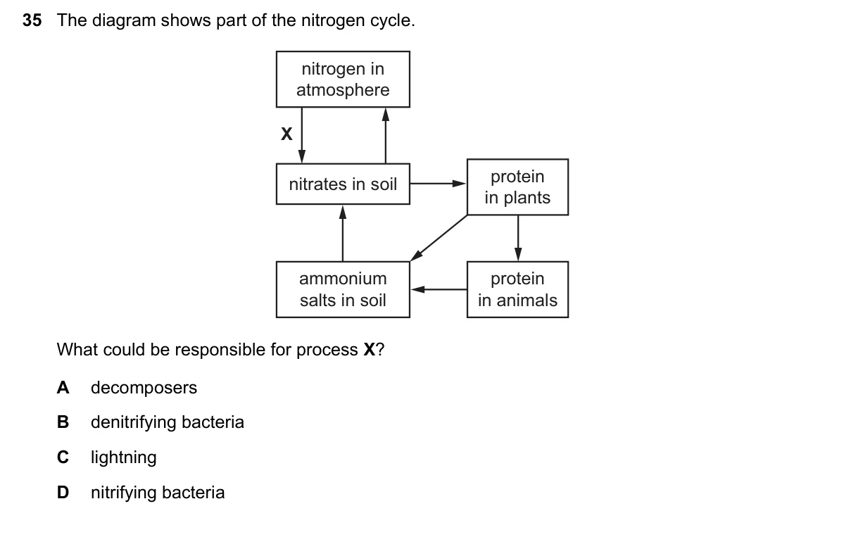 Question 35, November 2016, 0610 Paper 21