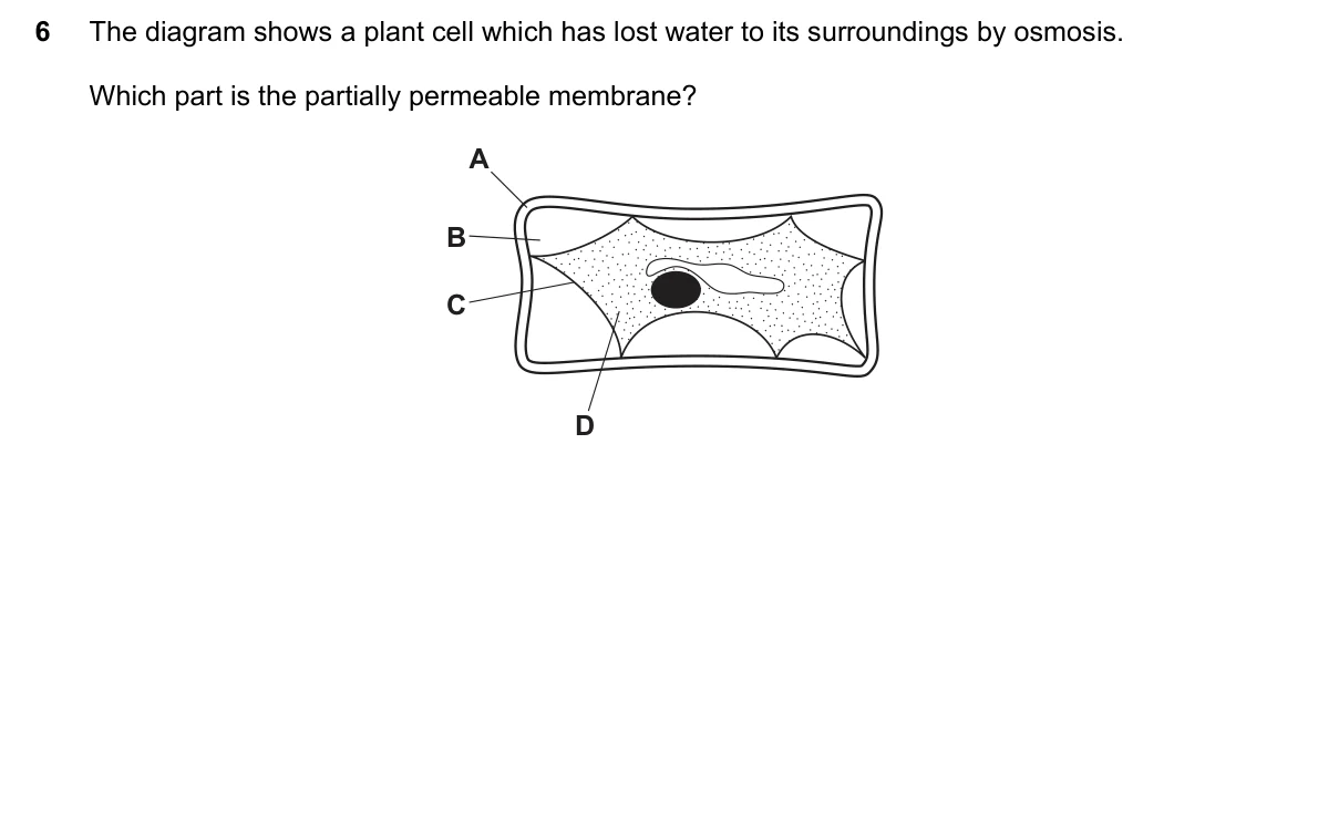 Question 6, November 2016, 0610 Paper 21
