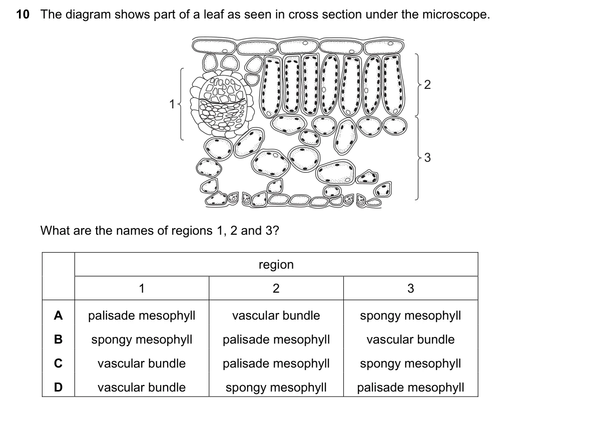 Question 10, November 2016, 0610 Paper 12