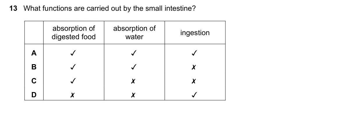 Question 13, November 2016, 0610 Paper 12