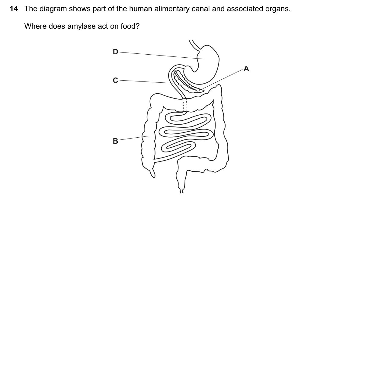 Question 14, November 2016, 0610 Paper 12