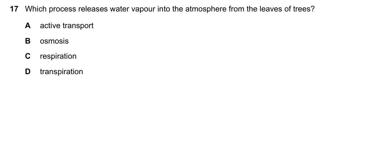 Question 17, November 2016, 0610 Paper 12