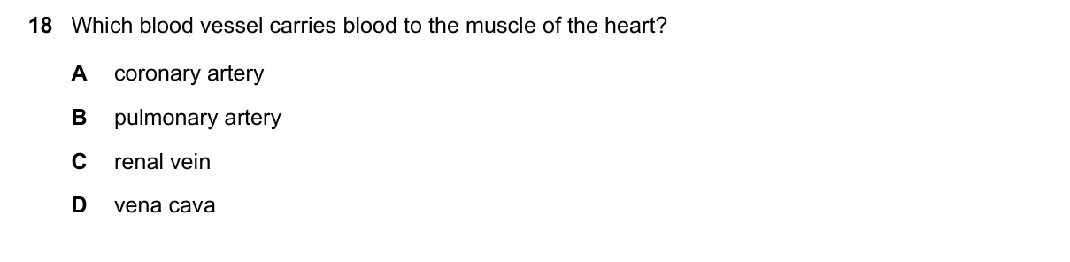 Question 18, November 2016, 0610 Paper 12