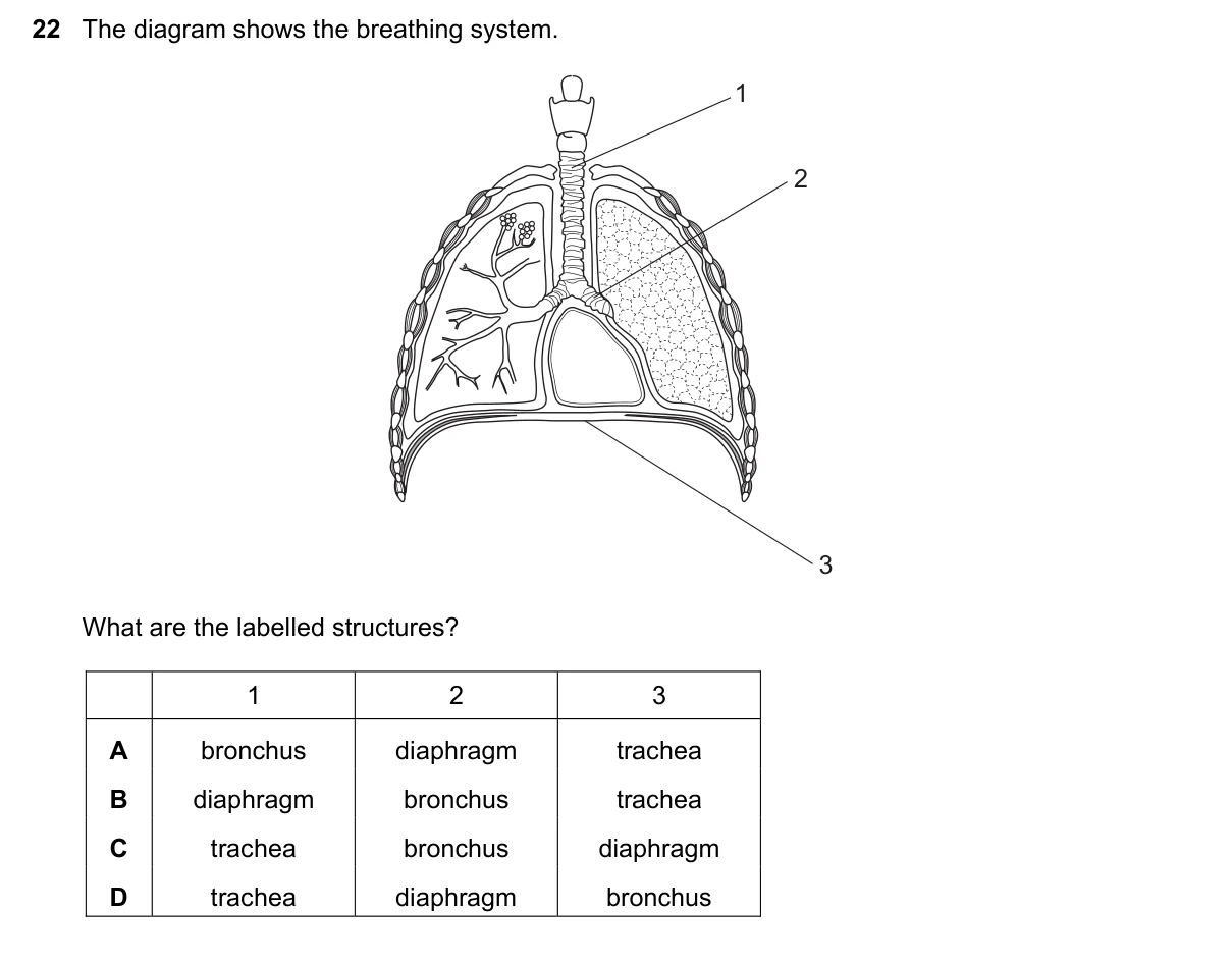 Question 22, November 2016, 0610 Paper 12