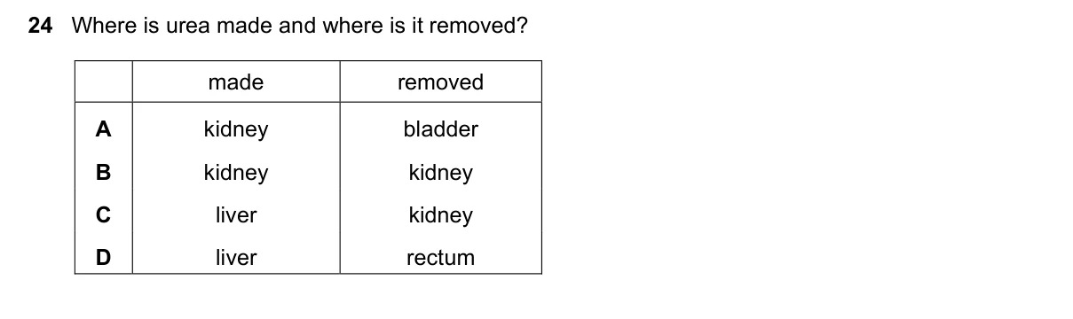 Question 24, November 2016, 0610 Paper 12