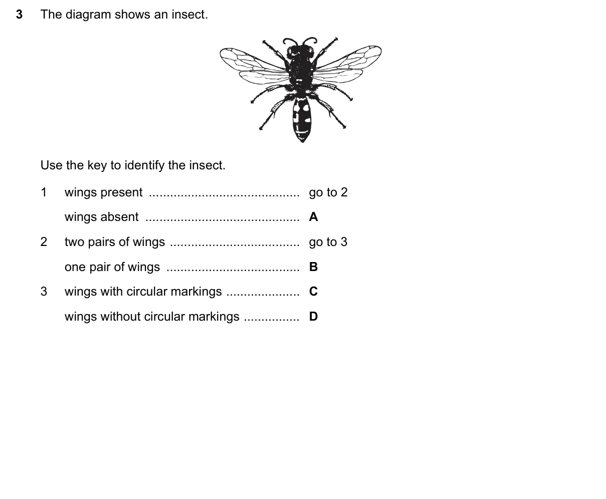 Question 3, November 2016, 0610 Paper 12
