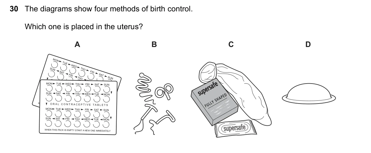 Question 30, November 2016, 0610 Paper 12