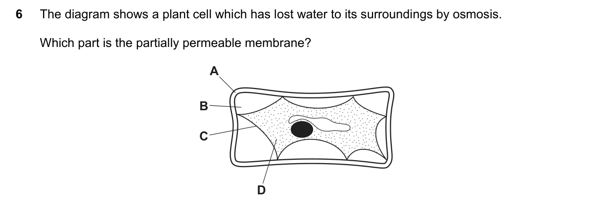 Question 6, November 2016, 0610 Paper 12