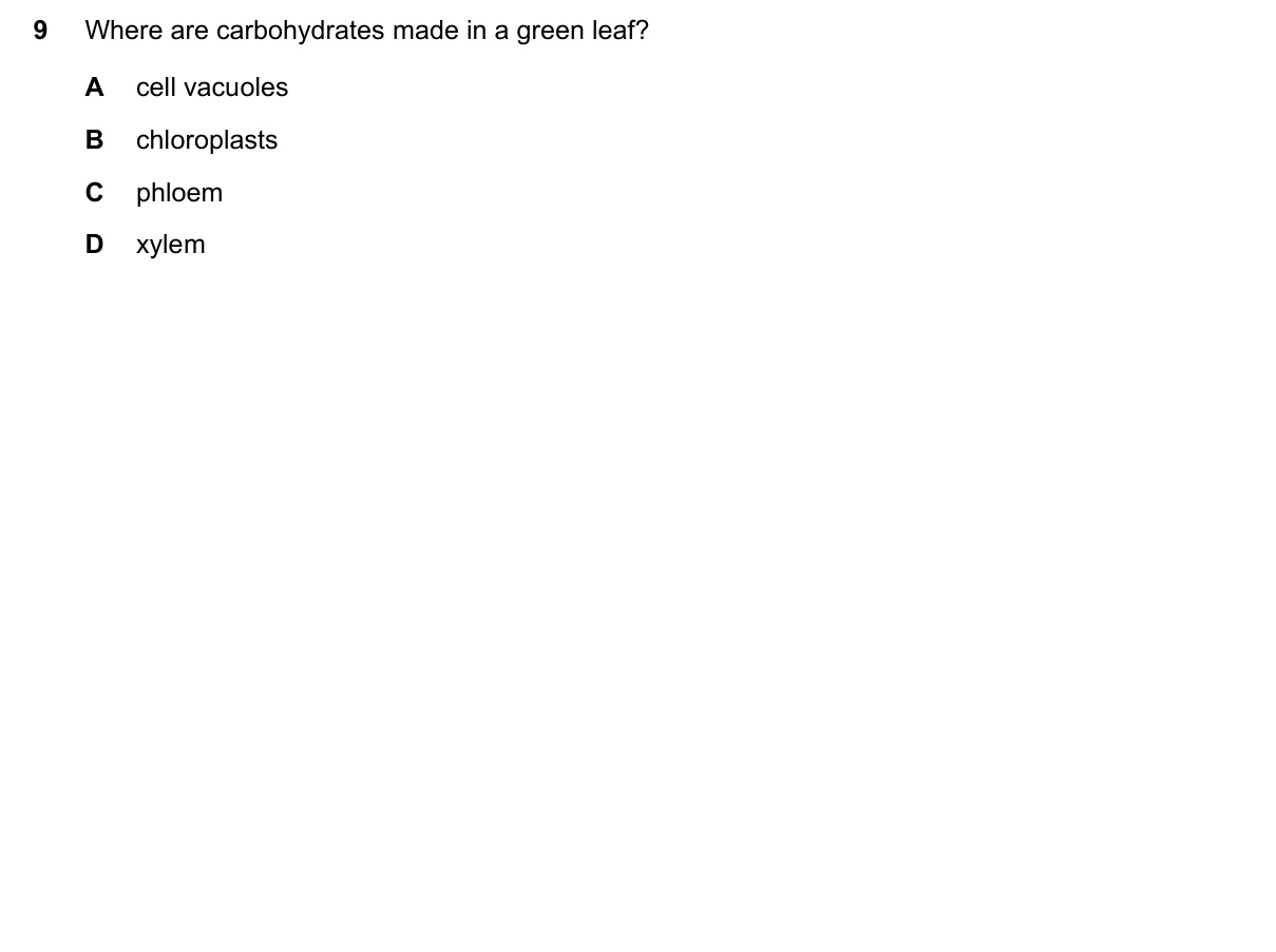 Question 9, November 2016, 0610 Paper 12