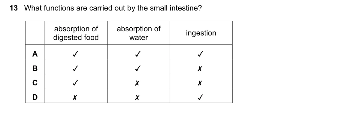 Question 13, November 2016, 0610 Paper 22