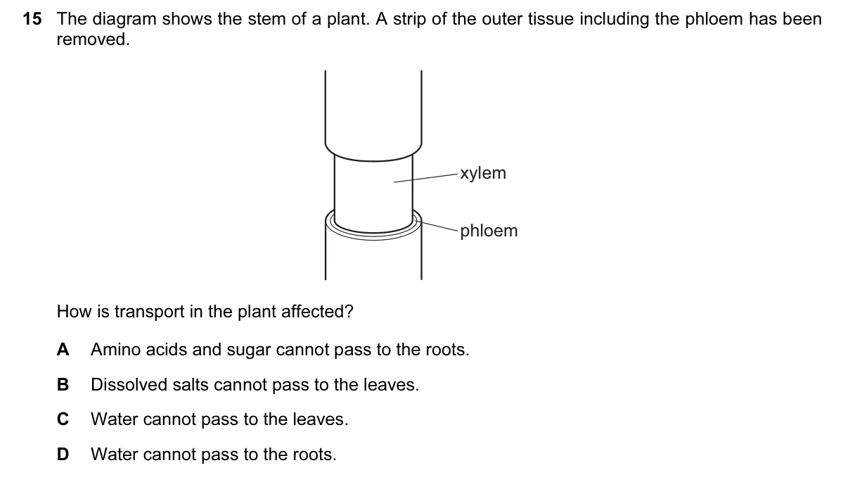 Question 15, November 2016, 0610 Paper 22