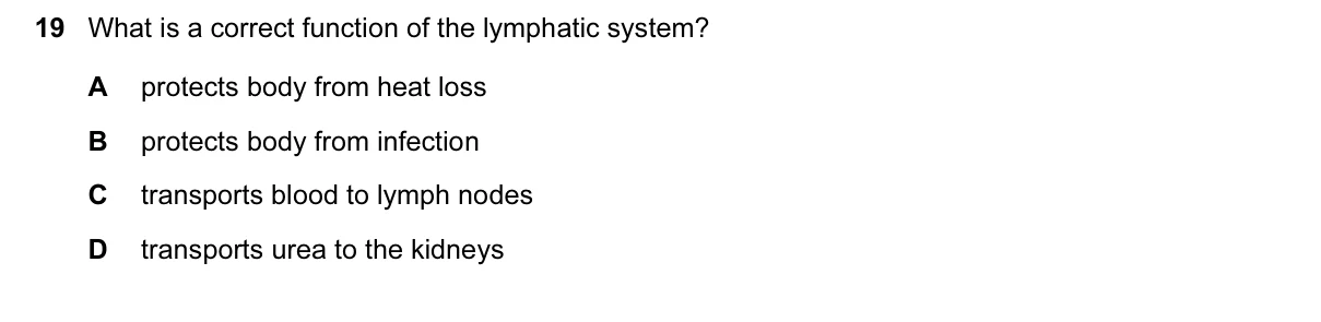 Question 19, November 2016, 0610 Paper 22