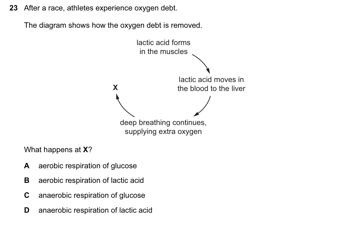 Question 23, November 2016, 0610 Paper 22