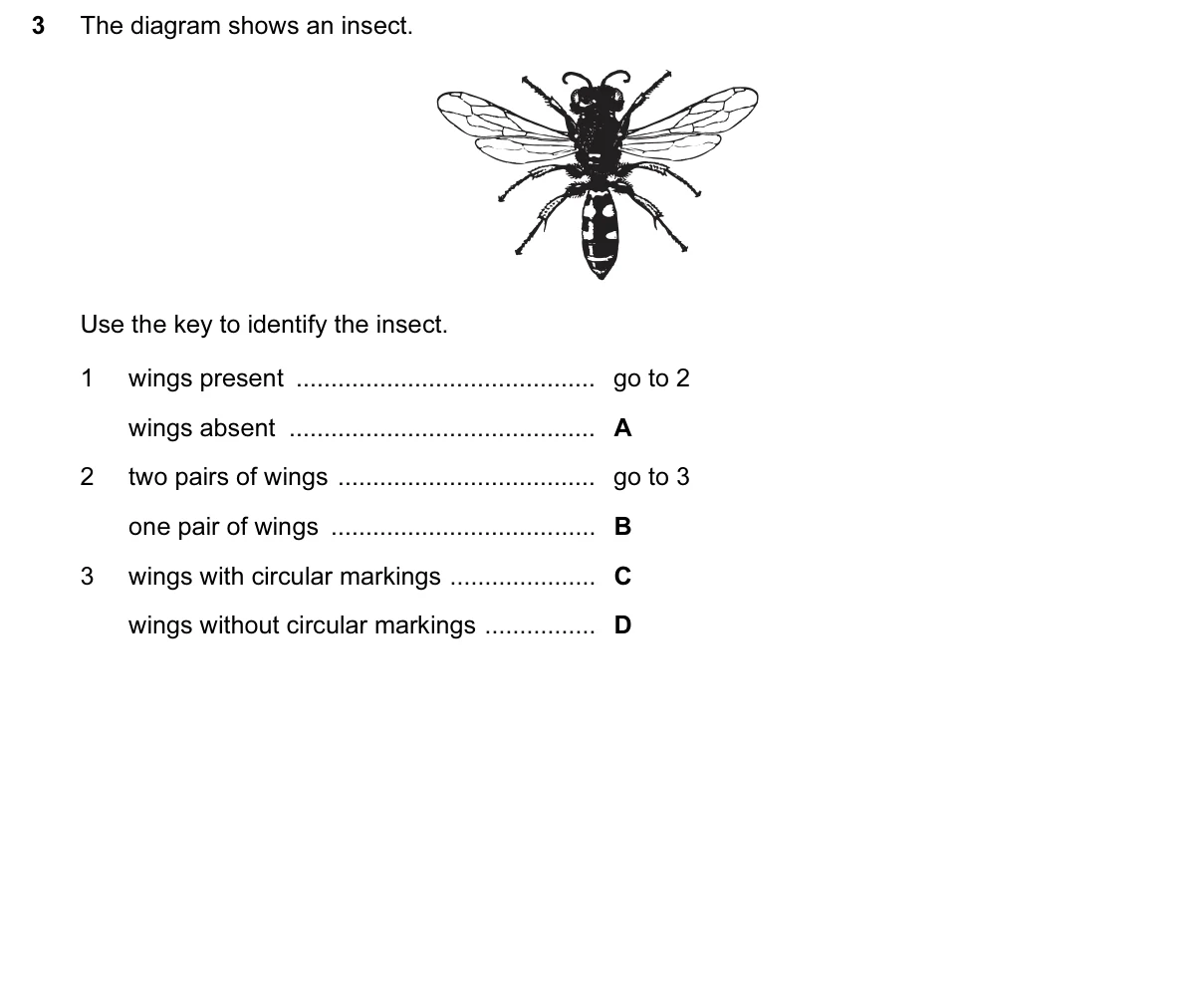 Question 3, November 2016, 0610 Paper 22