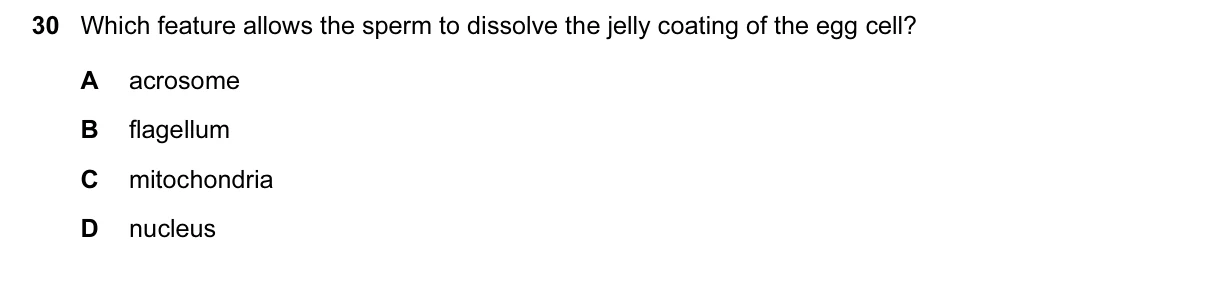 Question 30, November 2016, 0610 Paper 22