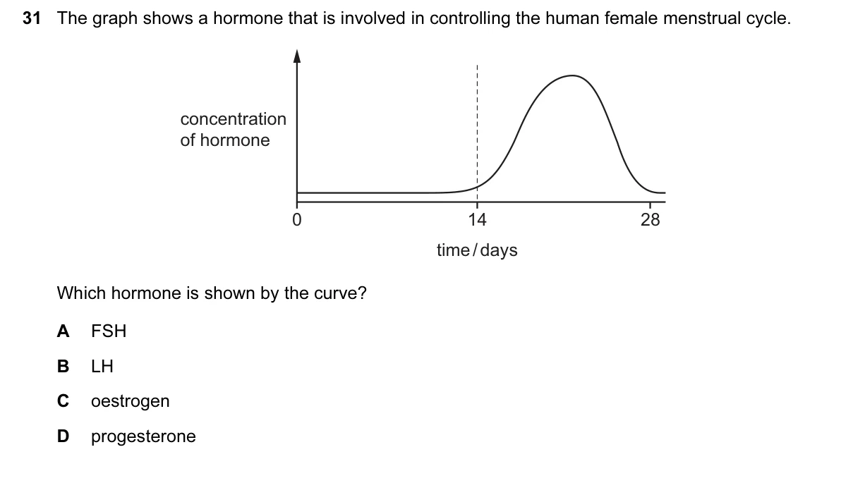 Question 31, November 2016, 0610 Paper 22