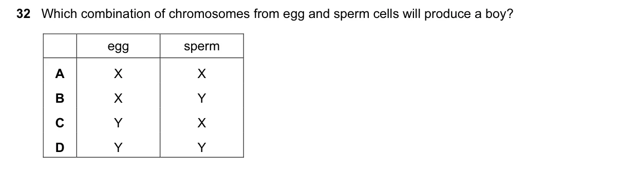 Question 32, November 2016, 0610 Paper 22