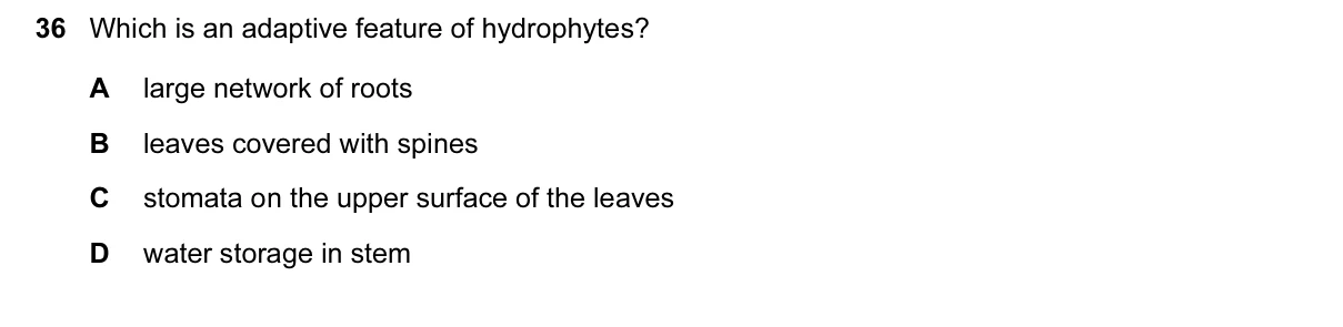 Question 36, November 2016, 0610 Paper 22
