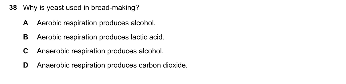 Question 38, November 2016, 0610 Paper 22
