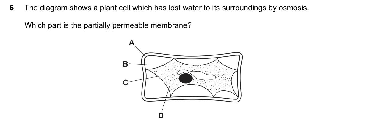 Question 6, November 2016, 0610 Paper 22
