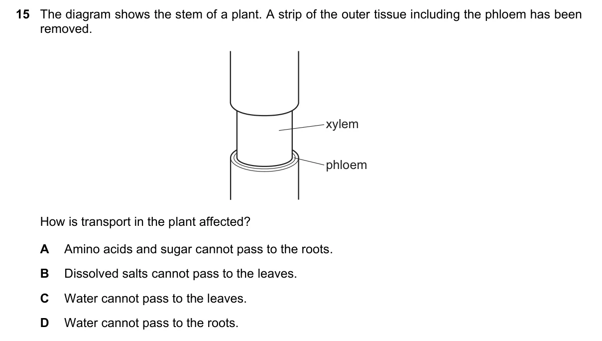 Question 15, November 2016, 0610 Paper 13
