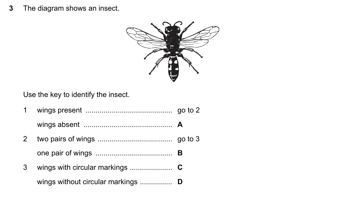 Question 3, November 2016, 0610 Paper 13