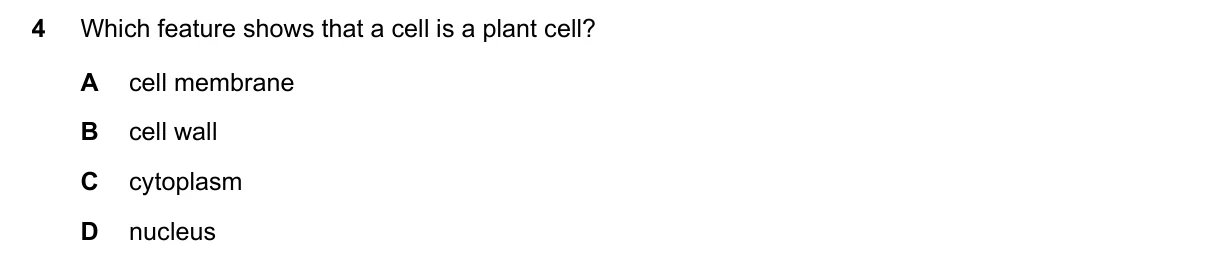 Question 4, November 2016, 0610 Paper 13